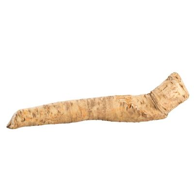 Organic Horseradish Root