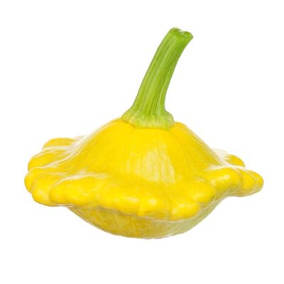 Organic Sunburst (Patty Pan) Squash