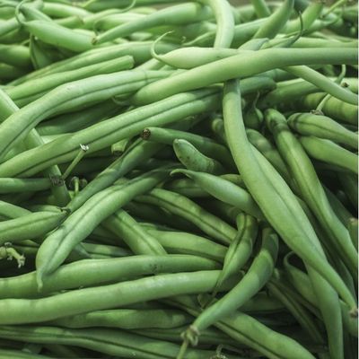 Organic French Green Beans Bag