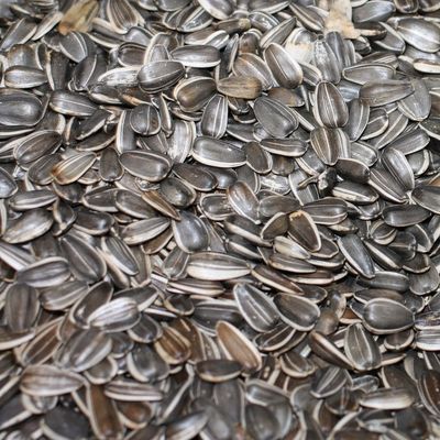 SB Bulk Sunflower Seed Kernels