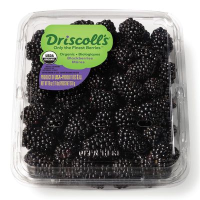 Driscoll's Organic Blackberries