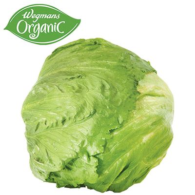 Organic Iceberg Lettuce