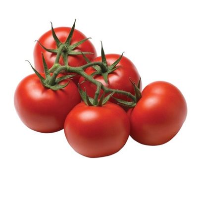 Tomato
