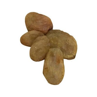 ORGANIC GOLDEN RAISINS