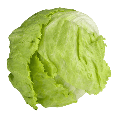 USDA Produce Organic Iceberg Lettuce