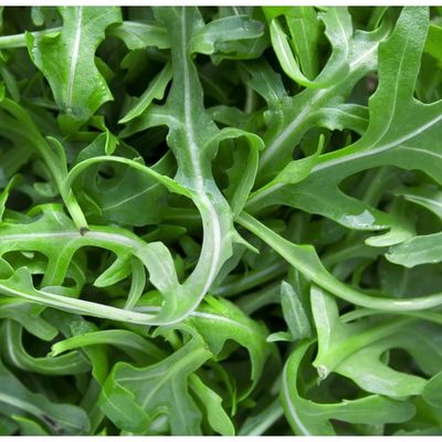 Arugula
