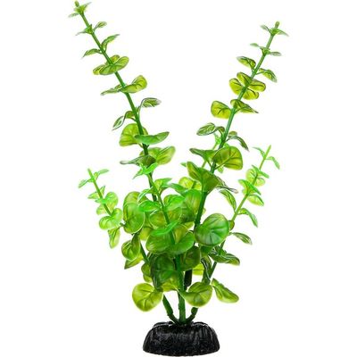 Petco Green Midground Aquarium Plant
