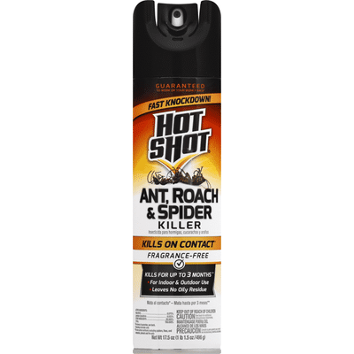 hot shot ant roach and spider