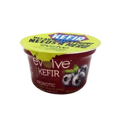 Evolve Greek Blueberry Kefir Yogurt