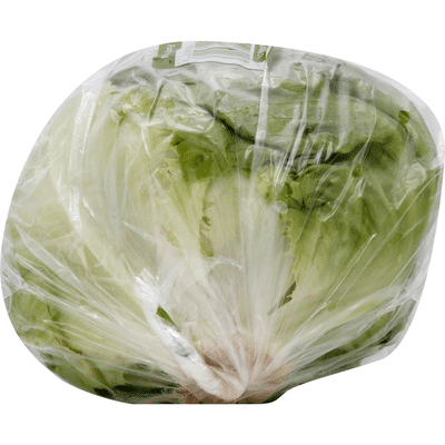 Iceberg Lettuce