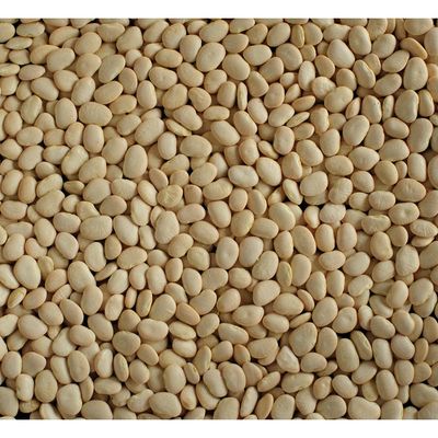 Baby Lima Beans