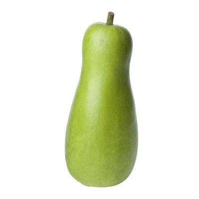 Opo Squash