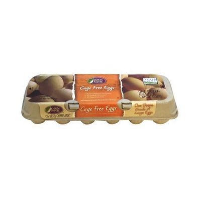 Open Nature Cage Free Large Brown Eggs