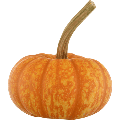 Bay Baby Produce Pumpkin, Sparkler