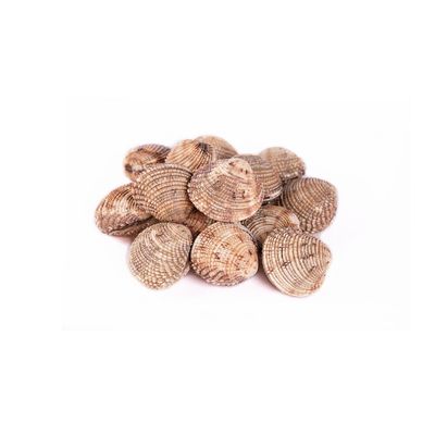 Cherrystone Clams