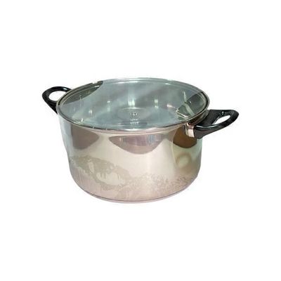 24 x 13.5 Centimeter Stainless Steel Glass Lid Pot