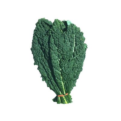 Organic Lacinato (Dinosaur) Kale