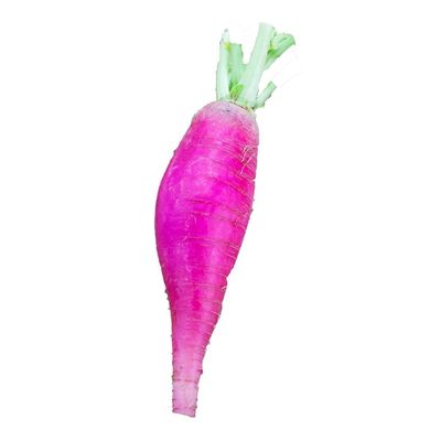 Organic Daikon Radish