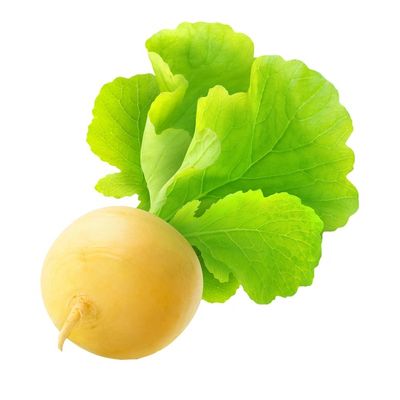 Organic Yellow Turnip