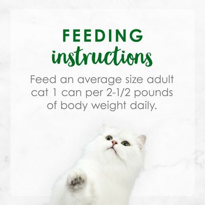 Fancy Feast Gravy Wet Cat Food, Medleys Tuna & Shrimp Recipe With Wild Rice in Gravy