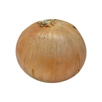 Yellow Onion
