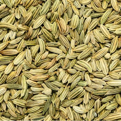 Organic Fennel Seeds