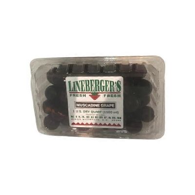 Black Muscadine Grapes