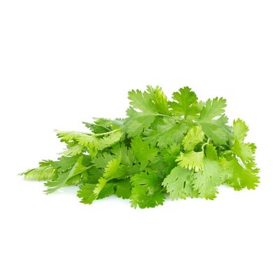 Organic Cilantro