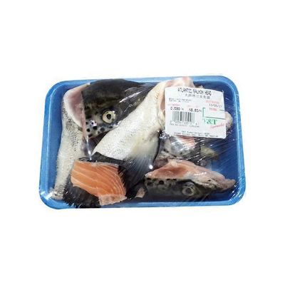 Atlantic Salmon Head