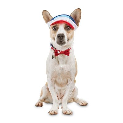 Bond & Co Small to Medium Palm Springs Visor