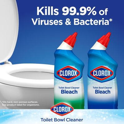Clorox Toilet Bowl Cleaner with Bleach
