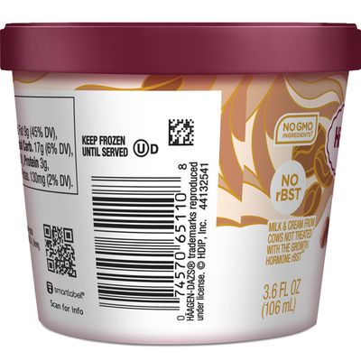 Haagen-Dazs Coffee Ice Cream