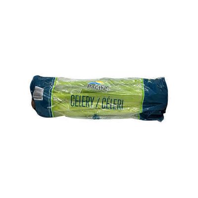 Pacific 1 Celery Stalk