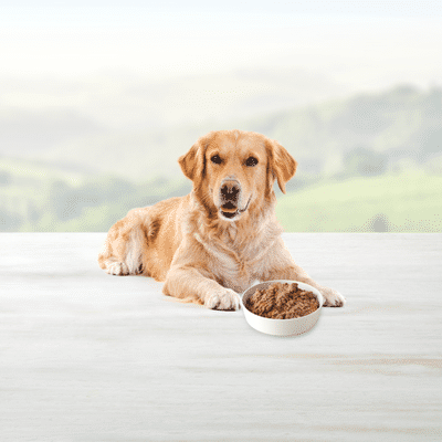 Blue Buffalo Homestyle Recipe Natural Adult Wet Dog Food, Beef