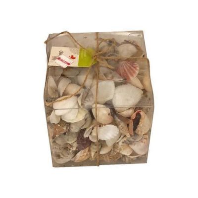 Debi Lilly Shells