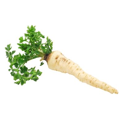 Organic Parsley Root Bunch
