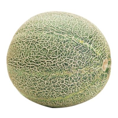 Athena Cantaloupe