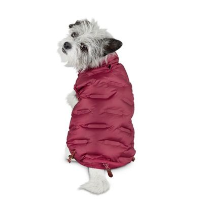 reddy dog puffer jacket