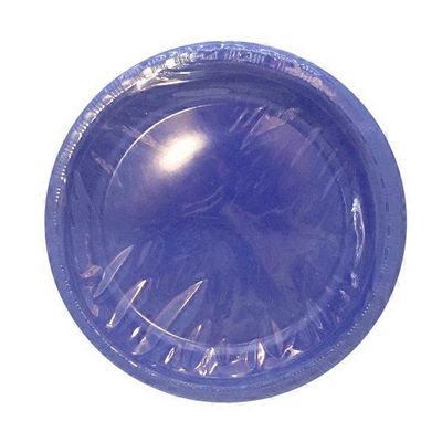 First Street Touch Of Color True Blue Plastic Plate 10 Inch