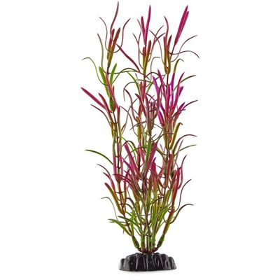 Imagitarium Small Purple & Green Background Aquarium Ludwigia Plant