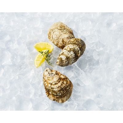 Baltimore Clam & Oyster Co. Fresh Shucked Oysters