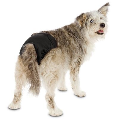SoPhresh Large Washable Dog Diapers