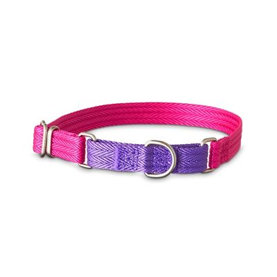 Good2 Go Small Purple & Pink 2 Tone Martingale Dog Collar