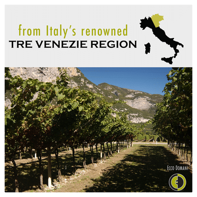 Ecco Domani Pinot Grigio