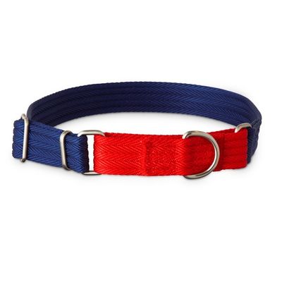 Good2 Go Medium 2 Tone Blue & Red Martingale Dog Collar