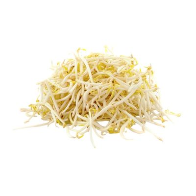Organic Bean Sprouts