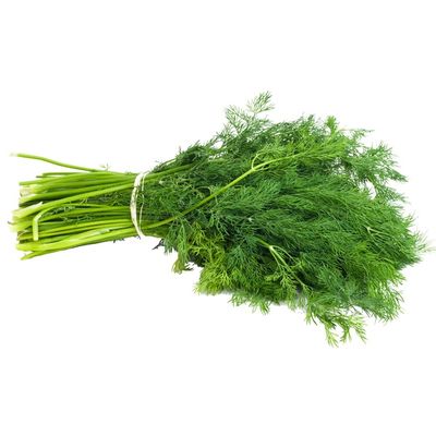 Infinite Herbs Organic Dill