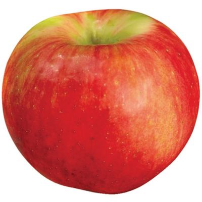 Sweetango Apple