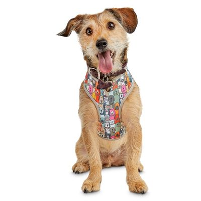 BOBS for Dogs Small Wag Party Harness