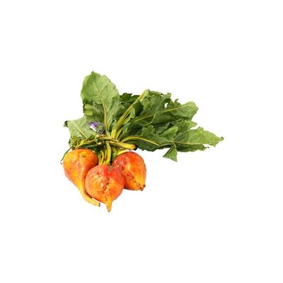 Gold Beet Bunch